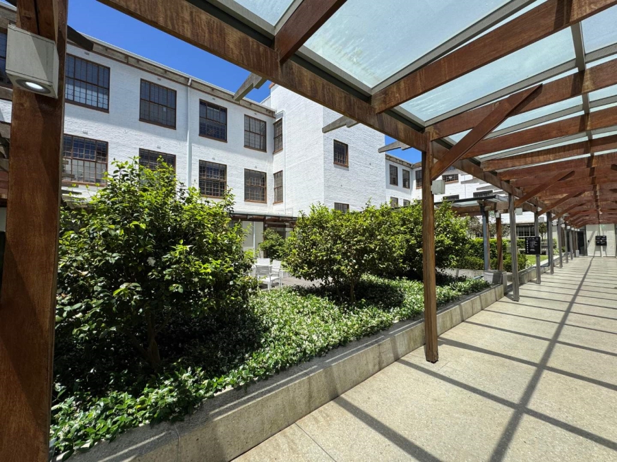 To Let commercial Property for Rent in Newlands Western Cape